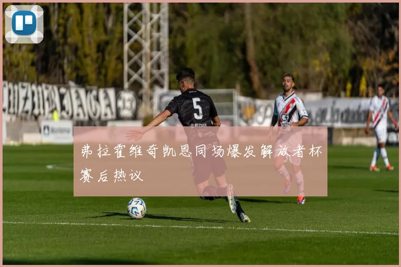 弗拉霍维奇凯恩同场爆发解放者杯赛后热议