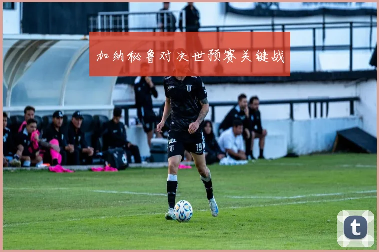加纳秘鲁对决世预赛关键战