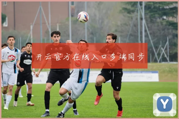 开云官方在线入口多端同步