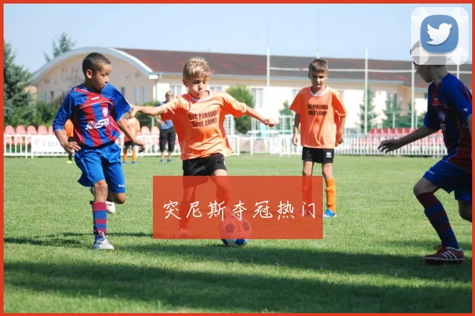突尼斯夺冠热门