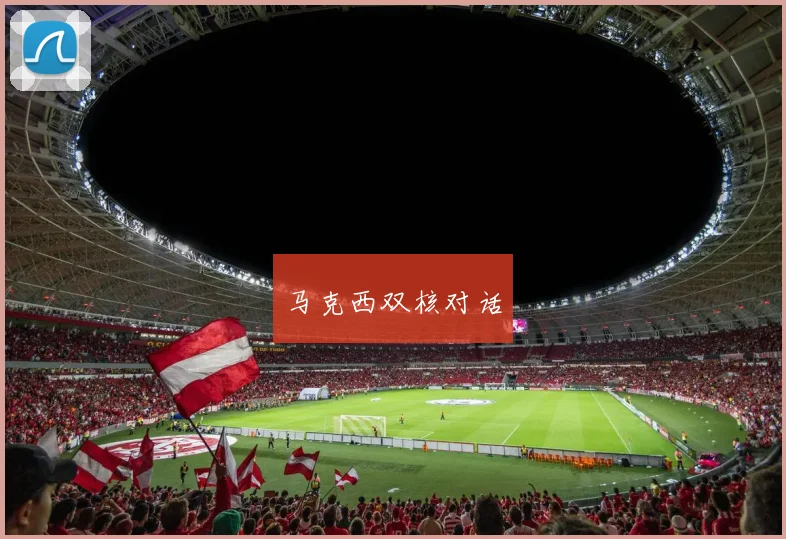 马克西双核对话