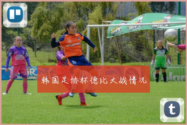 韩国足协杯德比大战情况