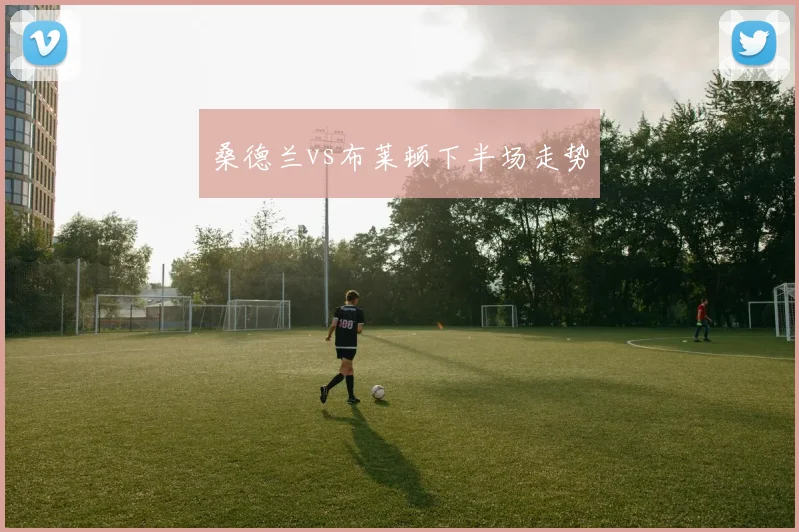 桑德兰vs布莱顿下半场走势
