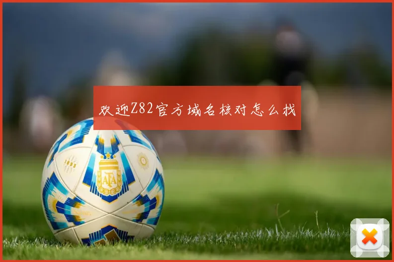 欢迎Z82官方域名核对怎么找
